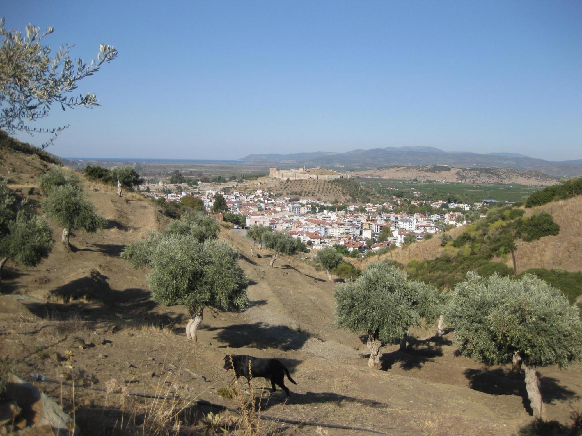 Villa Manzara Selçuk Luaran gambar